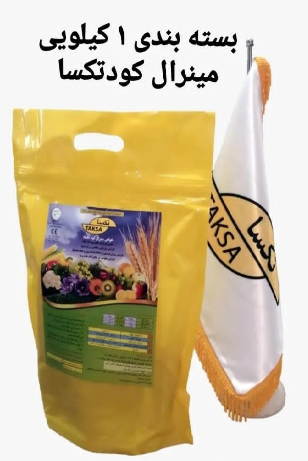 سایت ساز گرپ